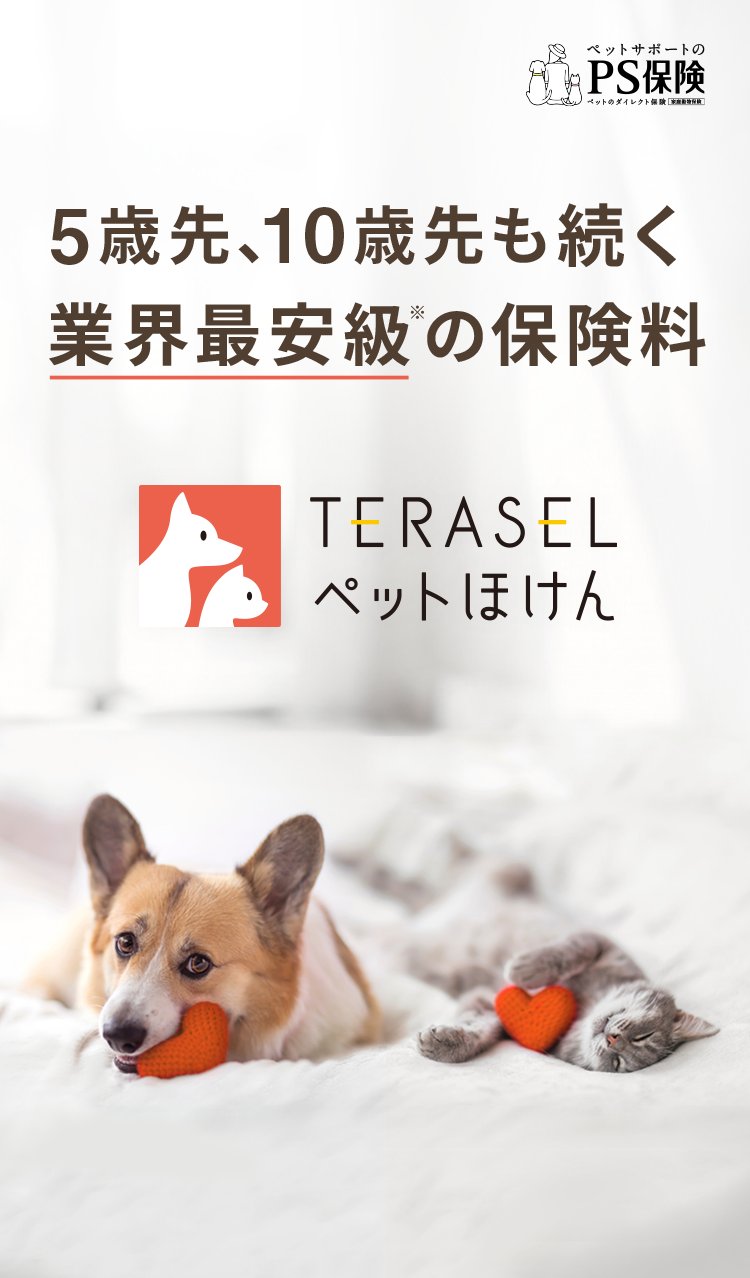 5歳先、10歳先も続く業界最安級の保険料